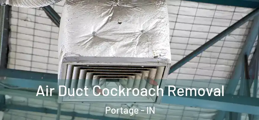 Air Duct Cockroach Removal Portage - IN