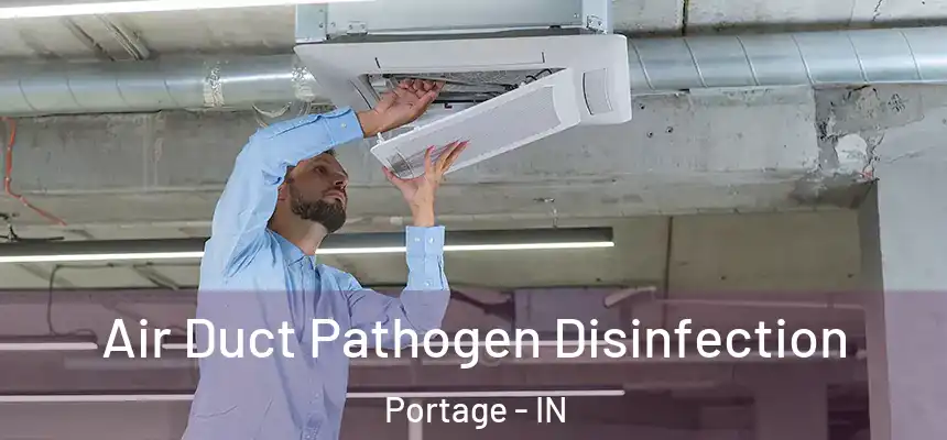  Air Duct Pathogen Disinfection Portage - IN