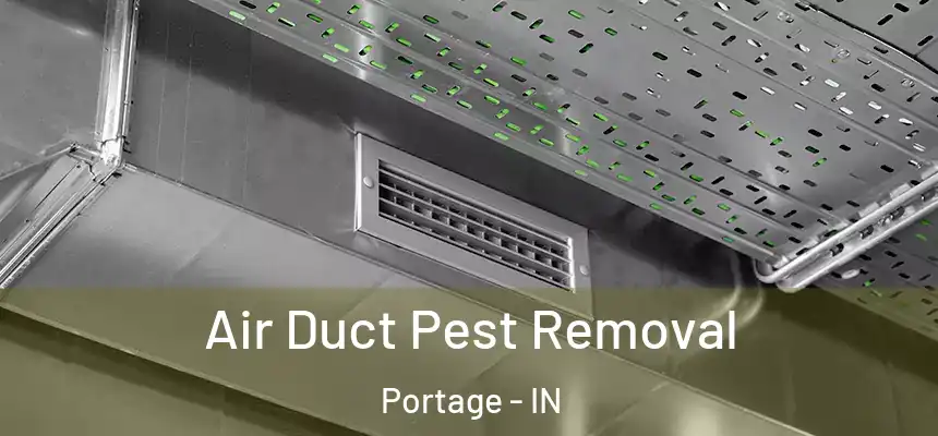  Air Duct Pest Removal Portage - IN