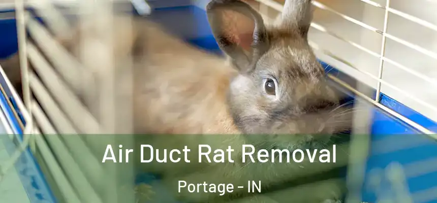  Air Duct Rat Removal Portage - IN