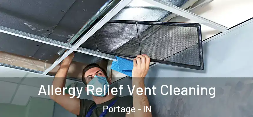 Allergy Relief Vent Cleaning Portage - IN