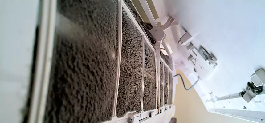 Preventive Air Duct Bacteria Removal in Portage