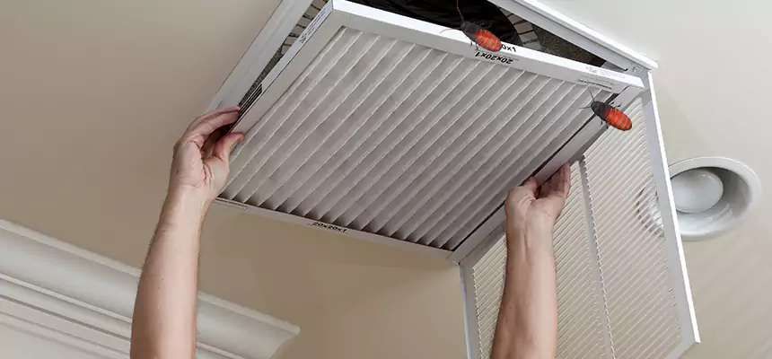 Preventive Cockroach-Proofing for Ducts in Portage