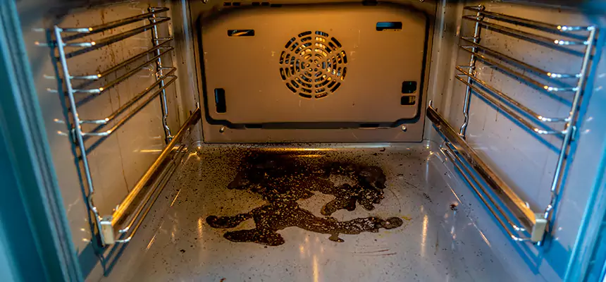 Our Dryer Vent Mold Cleaning Services in Portage, IN