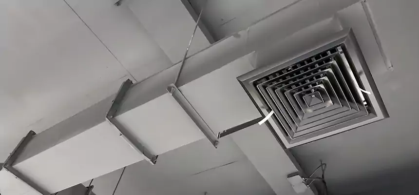 Our Rodent Droppings In Vents Services in Portage, IN