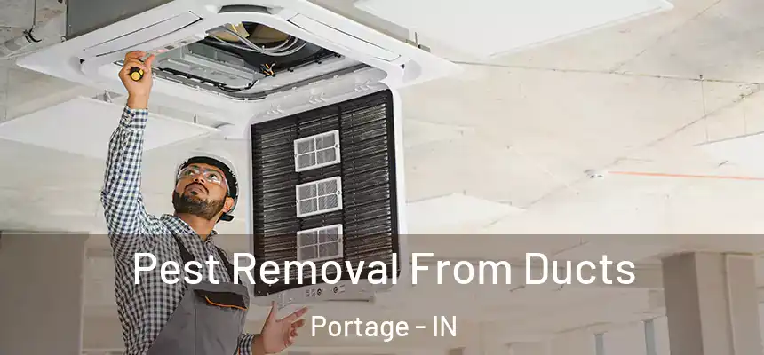 Pest Removal From Ducts Portage - IN