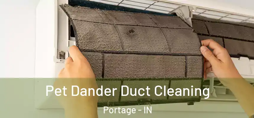 Pet Dander Duct Cleaning Portage - IN