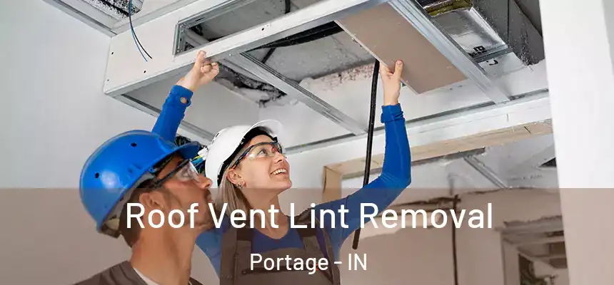  Roof Vent Lint Removal Portage - IN