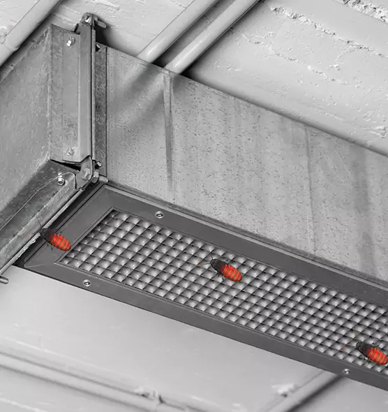 About Air Duct Cockroach Removal in Portage, IN