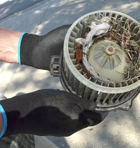 About Air Duct Mice Removal in Portage, IN