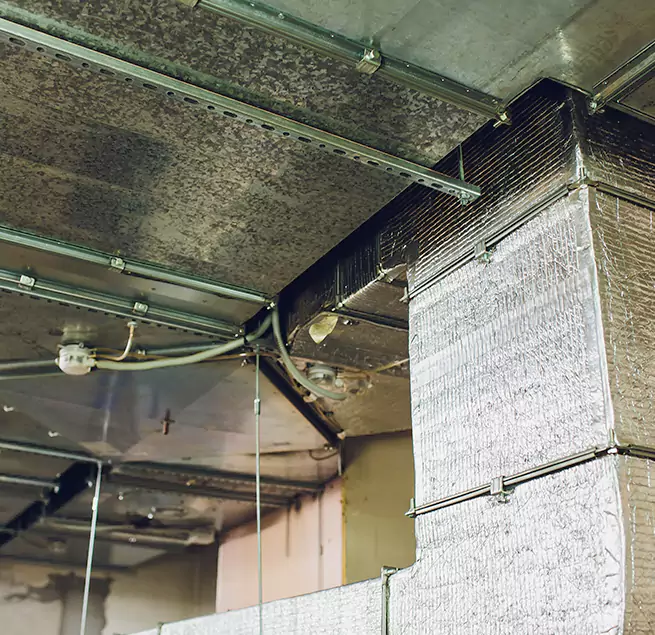 Why Homeowners & Businesses Trust Us in Portage, IN?